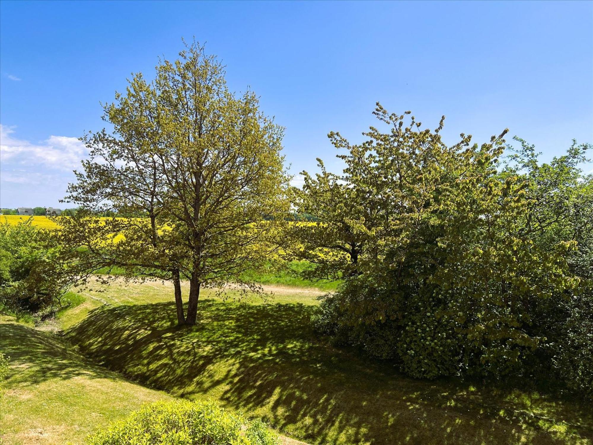 Feriendorf Rugana - Klassik Appartement Mit 1 Schlafzimmer D44 Dranske Buitenkant foto